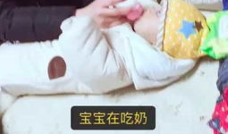 成人吃奶视频,揭秘成人吃奶现象背后的心理奥秘